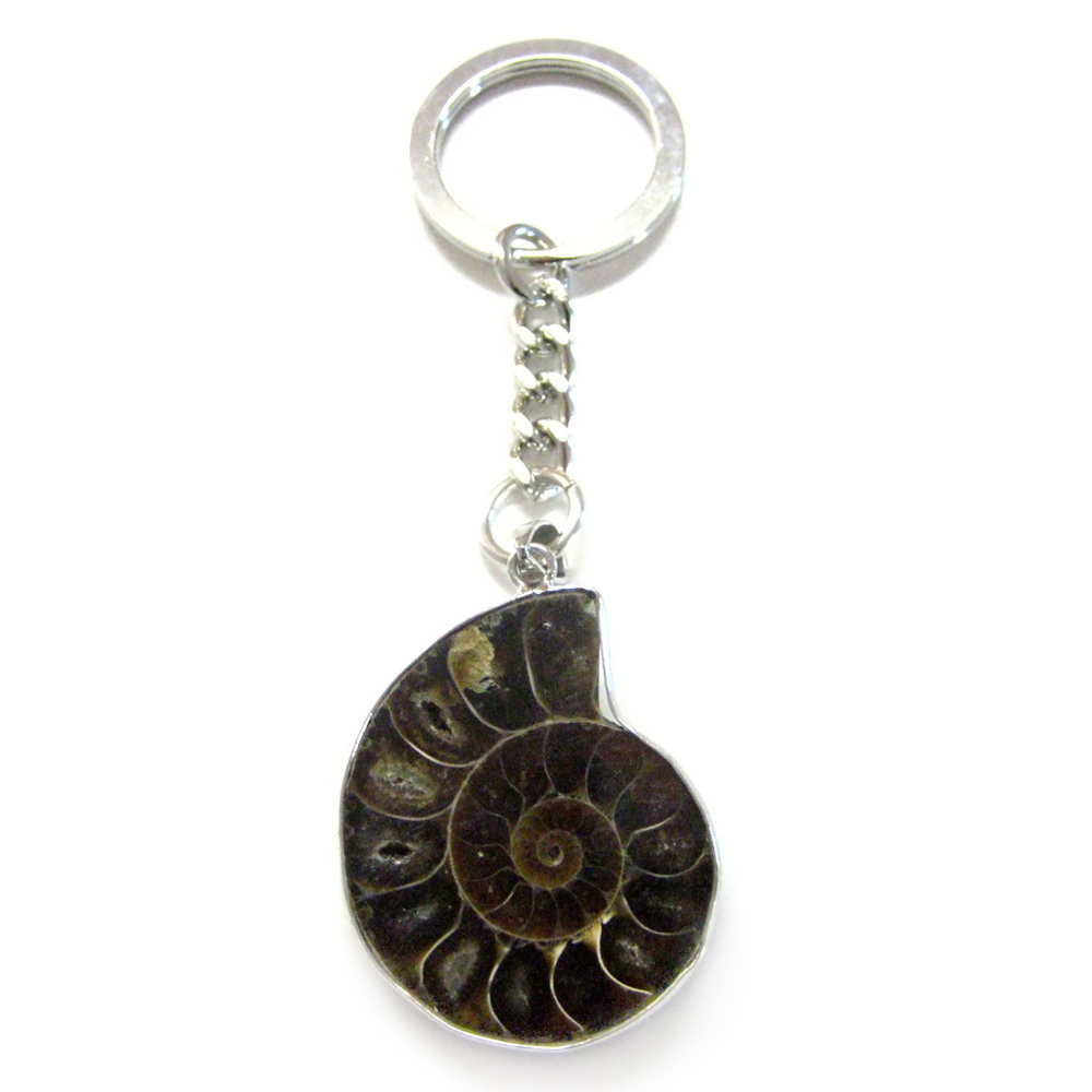 Ammonite Keychain